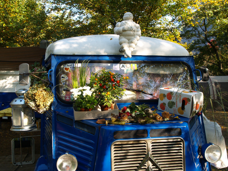 Tessintreffen 2008 in Avegno, Blauer HY mit einem ganzen Gemüsegarten auf der Schnauze